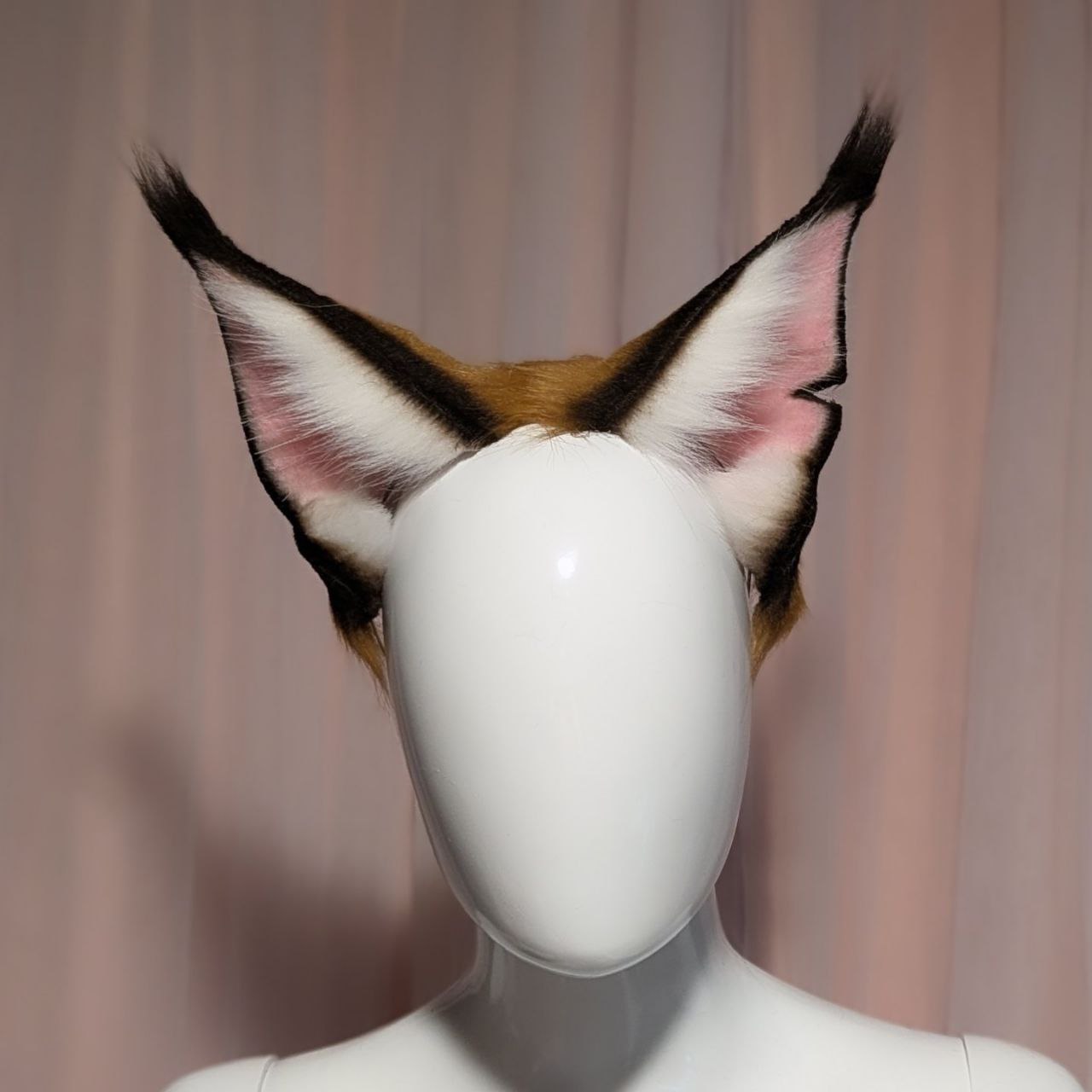 Anthro Aesthetic