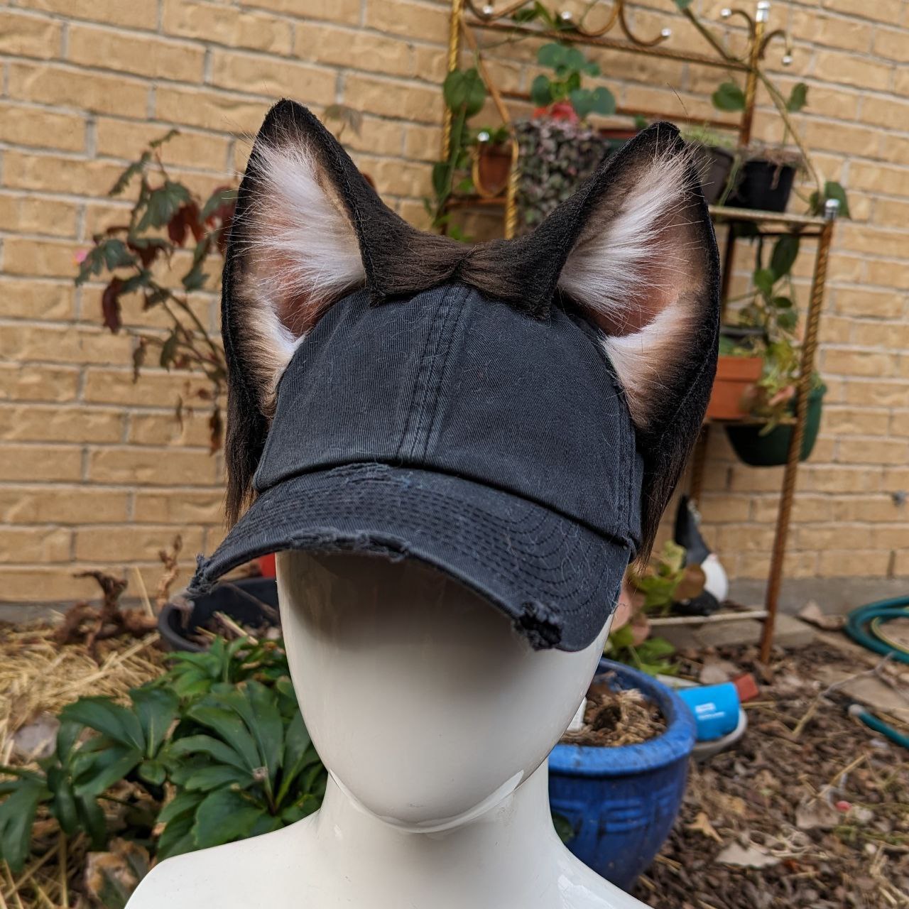 Anthro Aesthetic